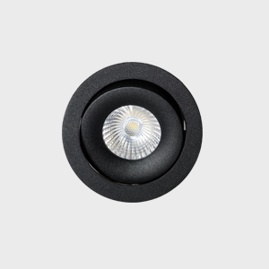 Rodin 10W